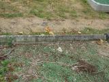 image number TNWELLRD 938